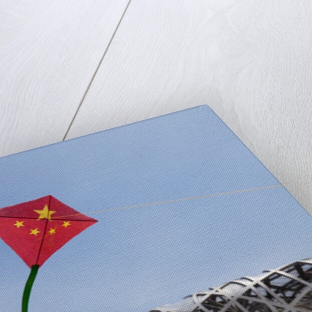 Kites flying by the Beijing National Stadium by Anonymous