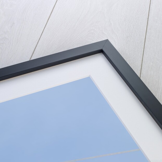 Kites flying by the Beijing National Stadium by Anonymous