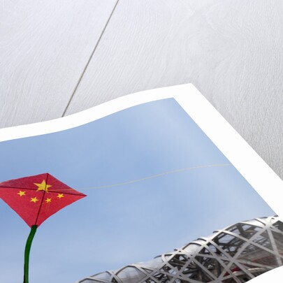 Kites flying by the Beijing National Stadium by Anonymous