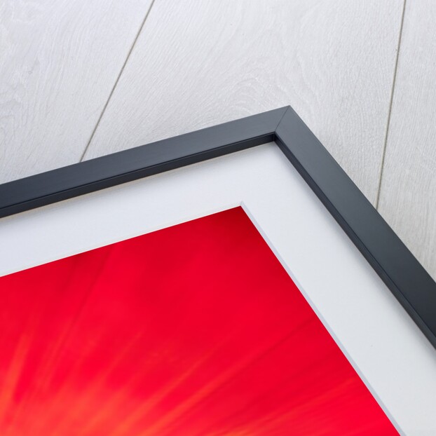 Bund Sightseeing Tunnel lights by Anonymous