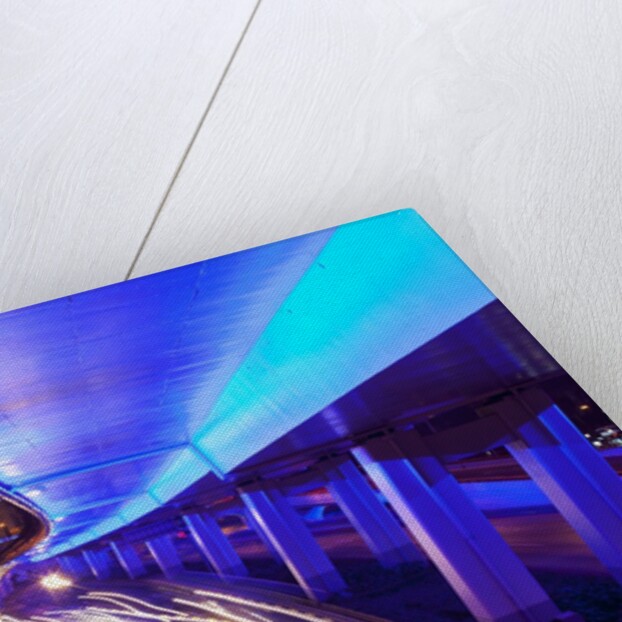 Traffic beneath neon-lit elevated road by Anonymous