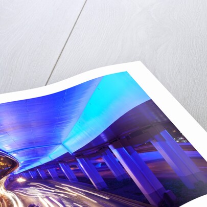 Traffic beneath neon-lit elevated road by Anonymous