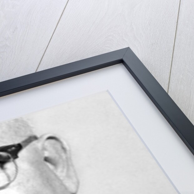 Sixty year old man portrait, ca. 1960 by Anonymous