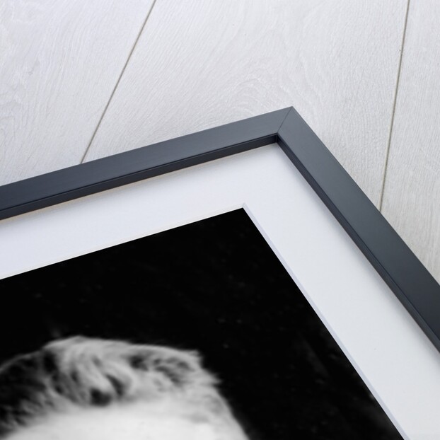 Ten year old boy in a school portrait by Anonymous