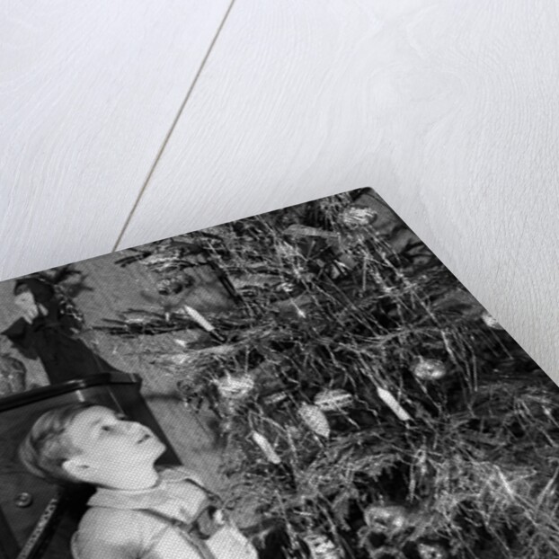 Two brothers look at a Christmas tree in their living room in Germany, ca. 1949 by Anonymous