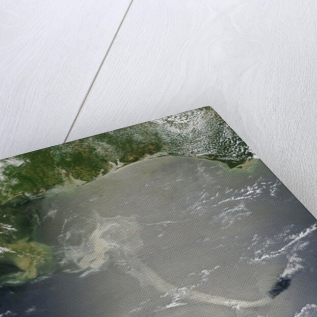 Oil slick in the Gulf of Mexico by Anonymous