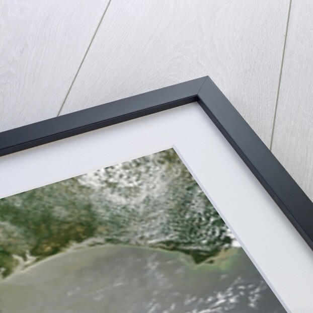 Oil slick in the Gulf of Mexico by Anonymous