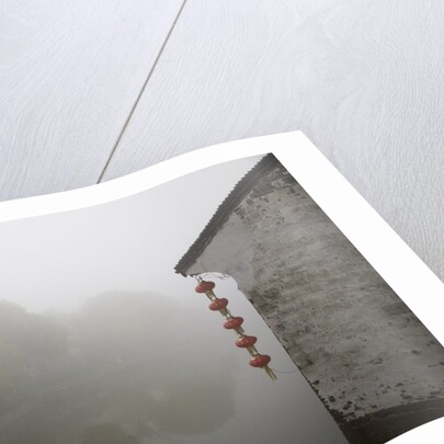 Riverside in the morning fog, Xi Tang, China by Anonymous