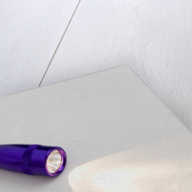 Flashlight by Anonymous