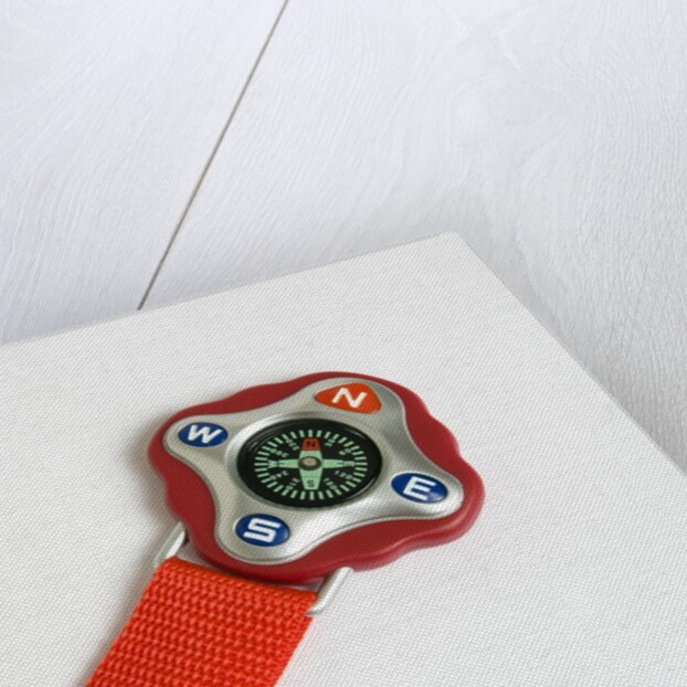 Key ring compass by Anonymous