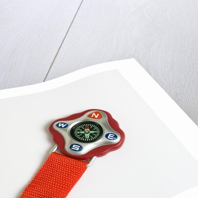 Key ring compass by Anonymous