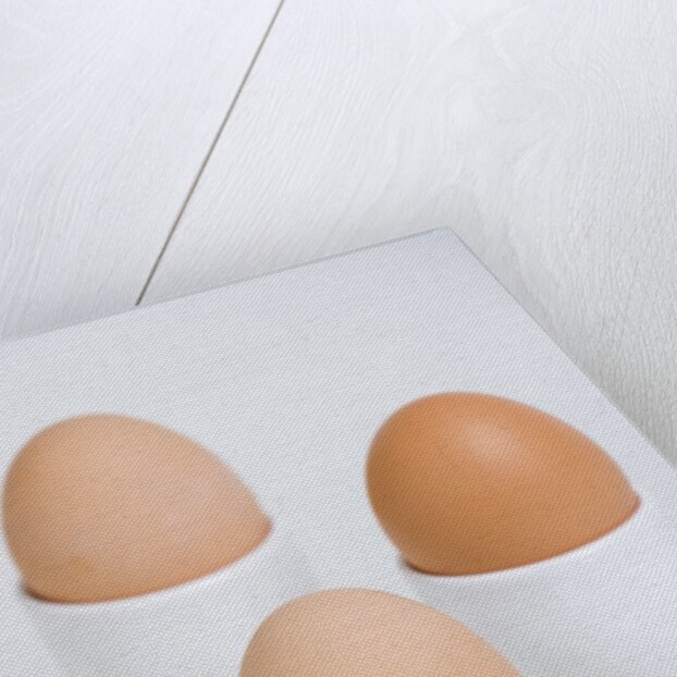 Hard-boiled eggs by Anonymous