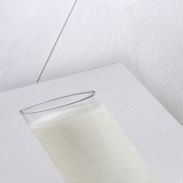 Glass of milk by Anonymous