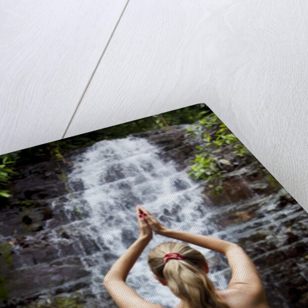 Woman meditating in front of a waterfall by Anonymous