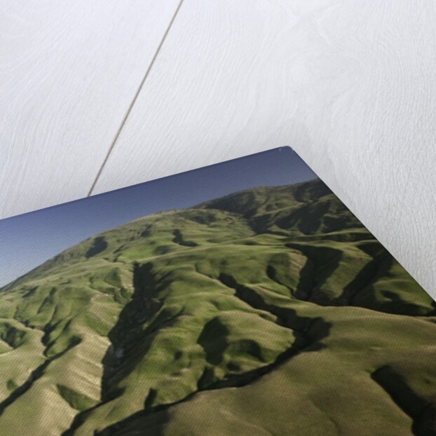Tejon Ranch in California by Anonymous