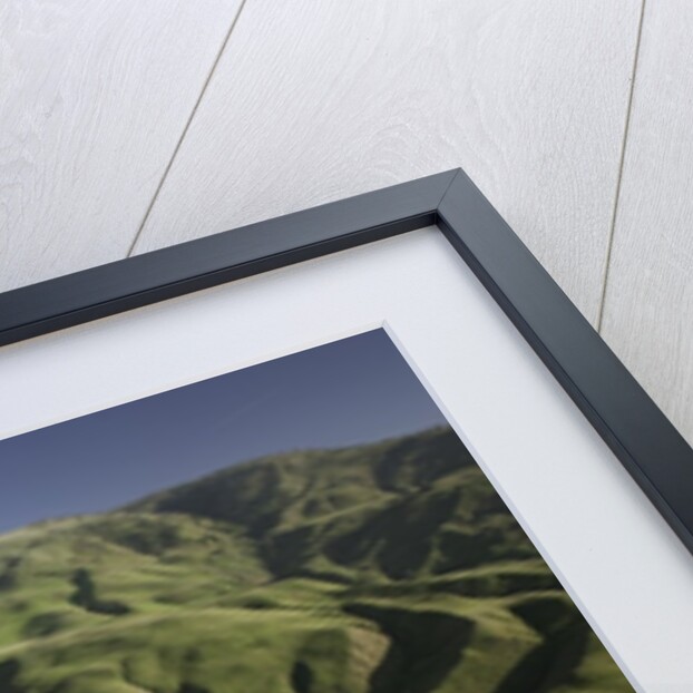 Tejon Ranch in California by Anonymous