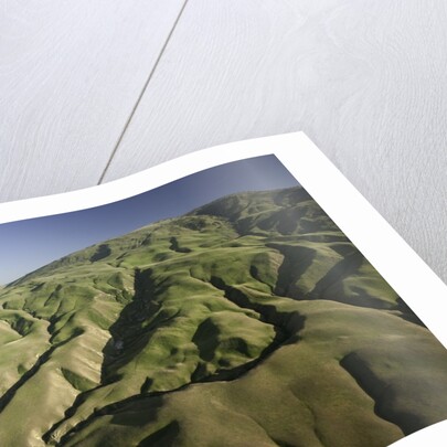 Tejon Ranch in California by Anonymous
