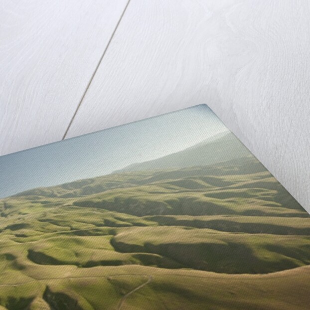 Tejon Ranch in California by Anonymous