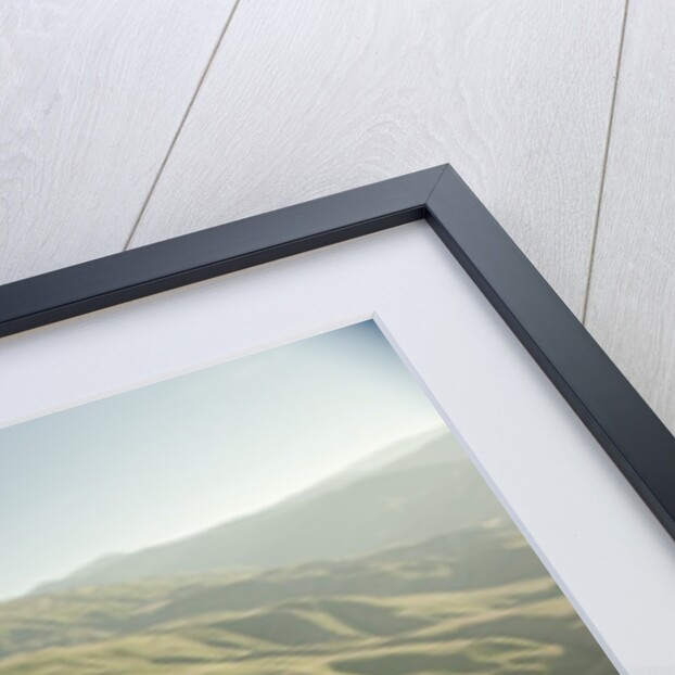 Tejon Ranch in California by Anonymous