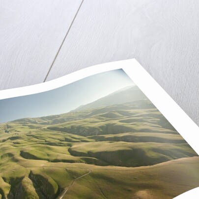 Tejon Ranch in California by Anonymous