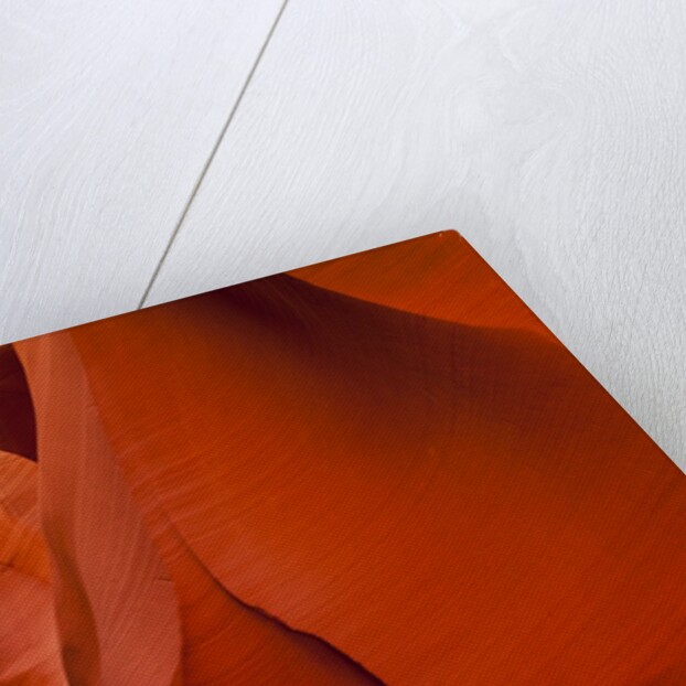 Lower Antelope Canyon by Anonymous