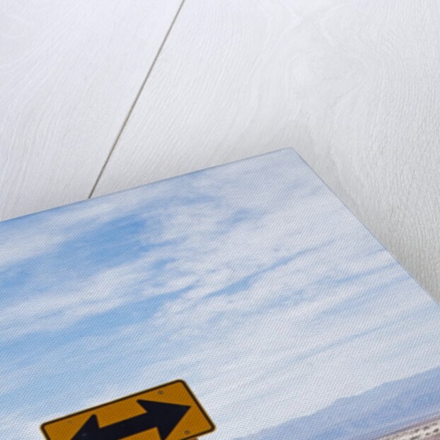 Road warning sign in Death Valley National Park by Anonymous