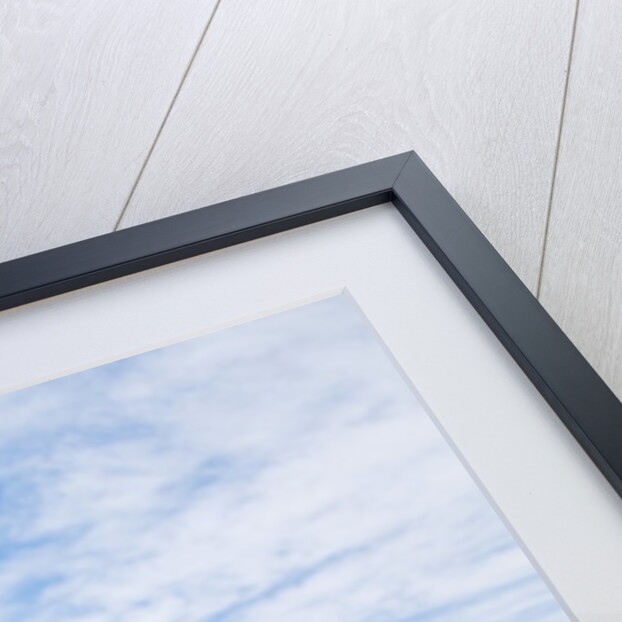 Road warning sign in Death Valley National Park by Anonymous