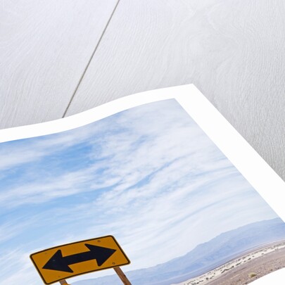 Road warning sign in Death Valley National Park by Anonymous