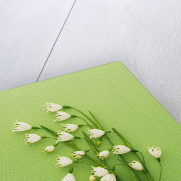 Snowflake by Anonymous