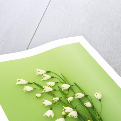 Snowflake by Anonymous