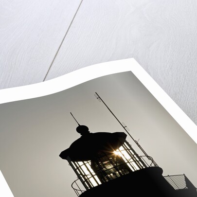 Tybee Lighthouse, Georgia by Anonymous