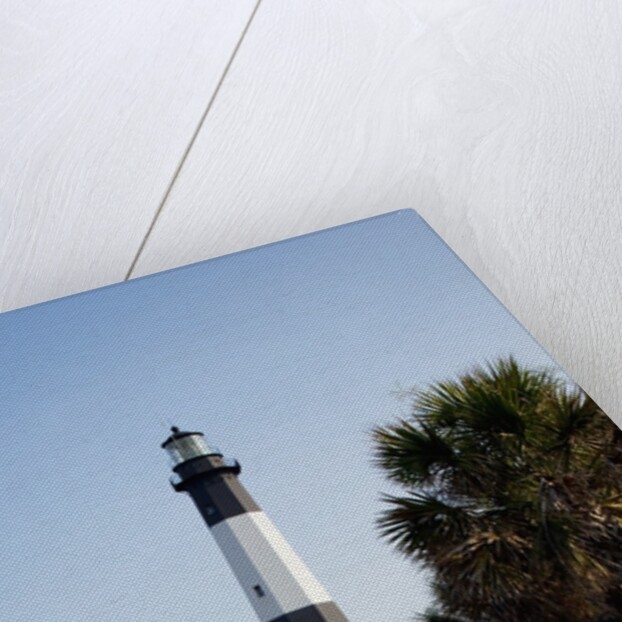 Tybee Lighthouse, Georgia by Anonymous