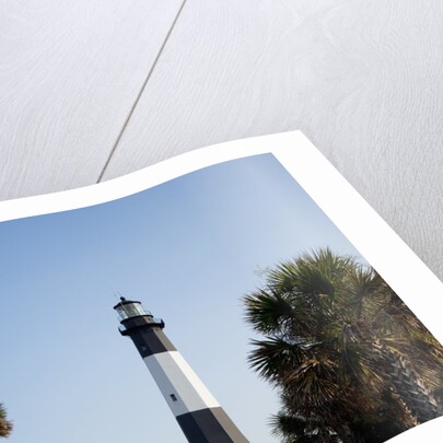 Tybee Lighthouse, Georgia by Anonymous