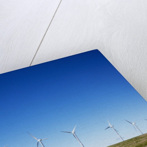 Windmills, Wallula, Washington by Anonymous