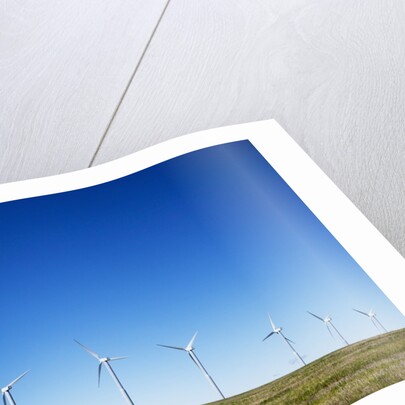 Windmills, Wallula, Washington by Anonymous