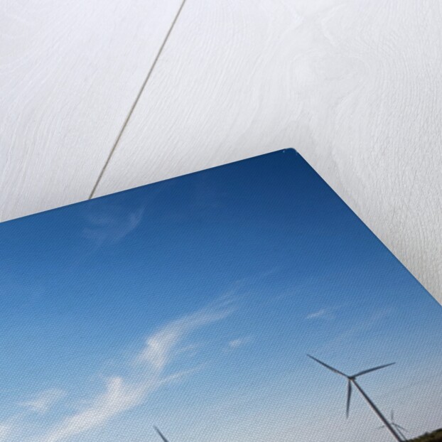 Wind Farm, Vega, Texas by Anonymous