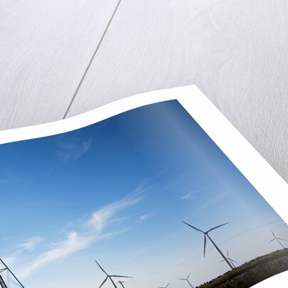 Wind Farm, Vega, Texas by Anonymous