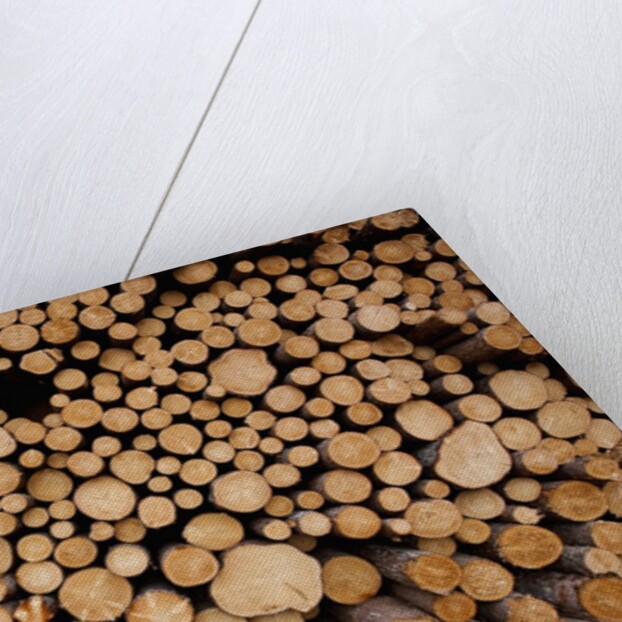 Log Pile at Sawmill, Gulliver, Michigan by Anonymous