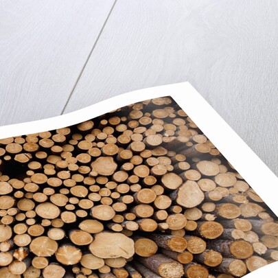 Log Pile at Sawmill, Gulliver, Michigan by Anonymous