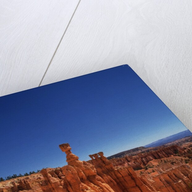 Bryce Canyon National Park by Anonymous