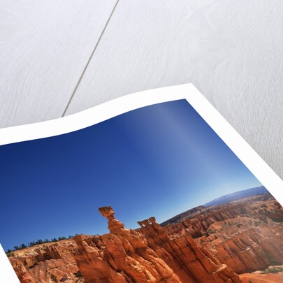 Bryce Canyon National Park by Anonymous