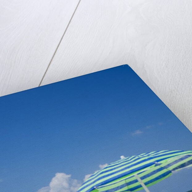 Treasure Island Beach, St. Petersburg, Florida by Anonymous