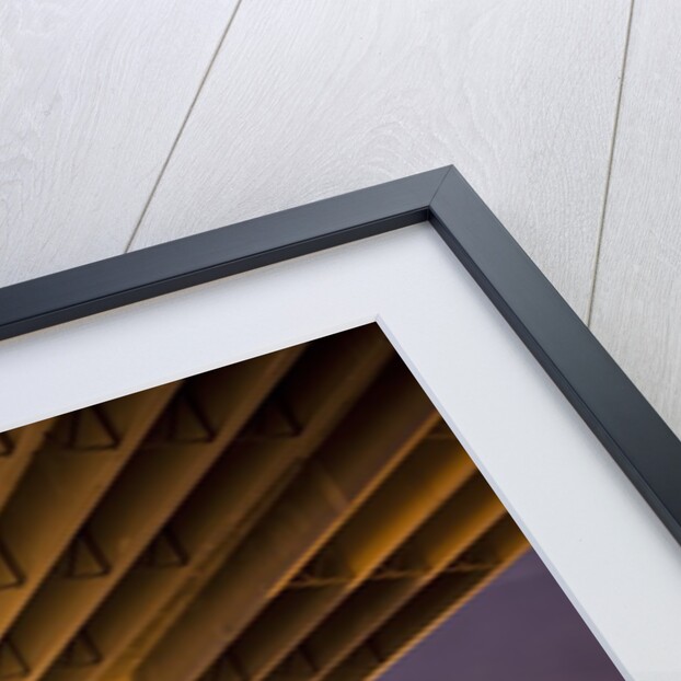 Highway Overpasses, Tampa, Florida by Anonymous