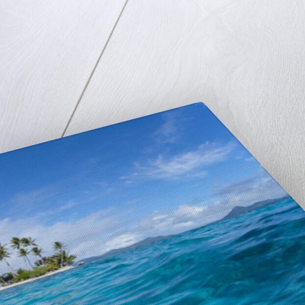 Tropical island, Micronesia by Anonymous