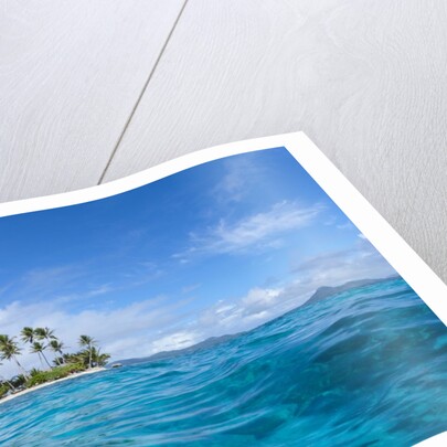 Tropical island, Micronesia by Anonymous