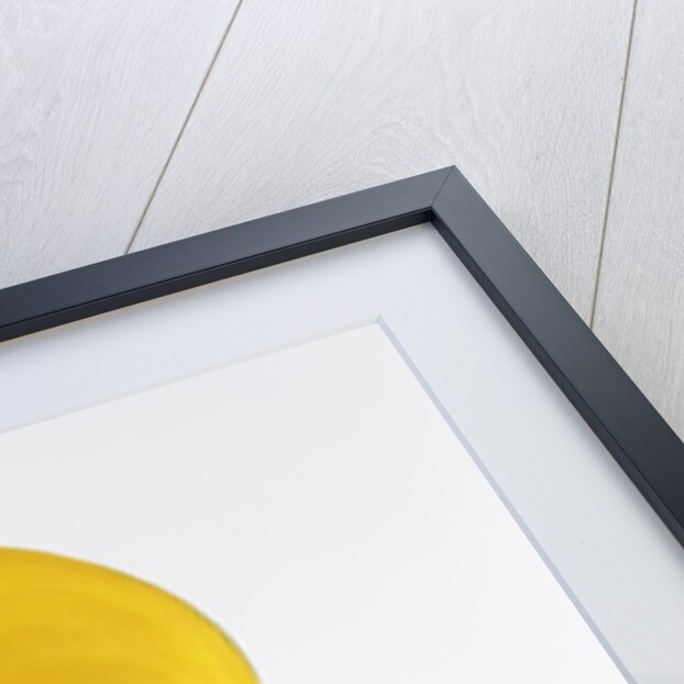 Calla lily by Anonymous