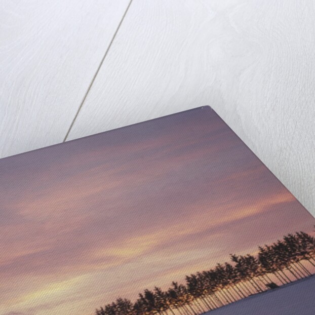 Sunrise over a snow covered field in Hokkaido, Japan by Anonymous