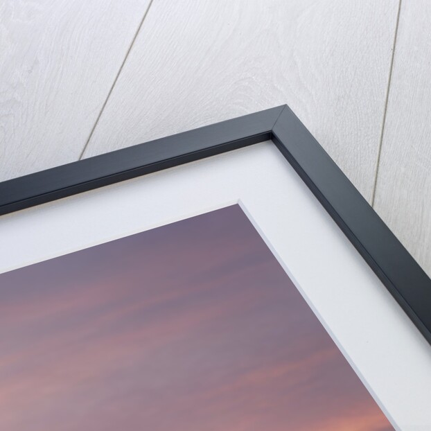 Sunrise over a snow covered field in Hokkaido, Japan by Anonymous