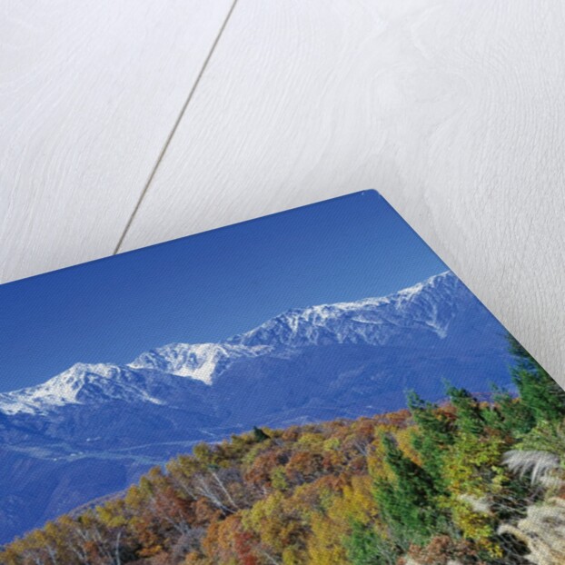 Mountain range and autumn foliage, Hakuma Miyama, Nagano Prefecture, Japan by Anonymous