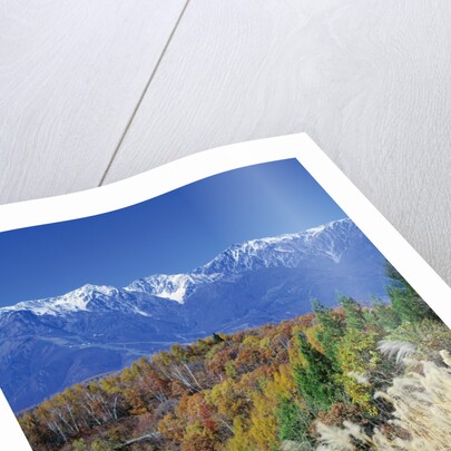 Mountain range and autumn foliage, Hakuma Miyama, Nagano Prefecture, Japan by Anonymous